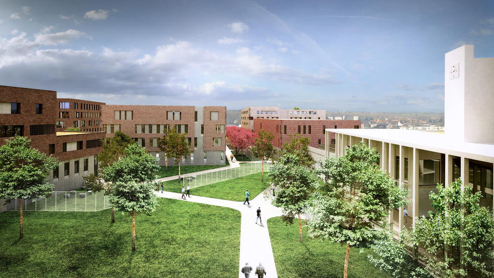 Een nieuwe en ecologische gevangenis in Haren