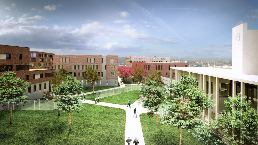 Een nieuwe en ecologische gevangenis in Haren