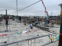 Plano Reserva do Cambuci, Brasil